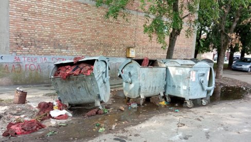 ДИВЉАШТВУ СТАТИ НА ПУТ: Упркос апелима расте мини-депонија у Улици Бошка Бухе