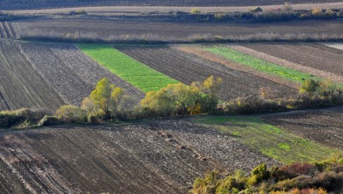 POLJOPRIVREDNO ZEMLJIŠTE POSTALO SUVO ZLATO: Jedan deo Vojvodine na vrhu liste po cenama