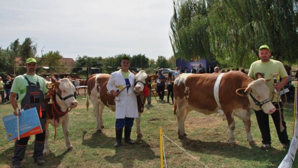56. МЕЂУНАРОДНИ РЕСАВСКИ ПОЉОПРИВРЕДНИ САЈАМ: Биће одржан у недељу, 11. септембра, од 10 часова