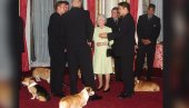 CEO SVET SE PITA: Šta će biti sa psima kraljice Elizabete nakon njene smrti? (FOTO)