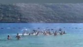 NEVIĐENE SCENE: Novak Đoković skinuo šorts na svadbi brata, a svatovi poskakali u Jadransko more (VIDEO)
