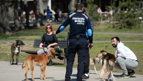 MUNJEVITA AKCIJA POLICIJE U BEOGRADU: Pali komunalni policajci zbog korupcije, osumnjičenima hitno određen pritvor