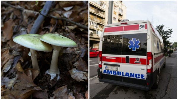 ПОСЛЕ ДЕСЕТ САТИ ПОЧЕЛИ СУ ДА ПОВРАЋАЈУ: Детаљи тровања печуркама у Шапцу, ево у каквом су стању хоспитализовани људи