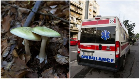 POSLE DESET SATI POČELI SU DA POVRAĆAJU: Detalji trovanja pečurkama u Šapcu, evo u kakvom su stanju hospitalizovani ljudi