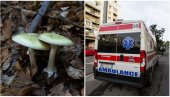 POSLE DESET SATI POČELI SU DA POVRAĆAJU: Detalji trovanja pečurkama u Šapcu, evo u kakvom su stanju hospitalizovani ljudi