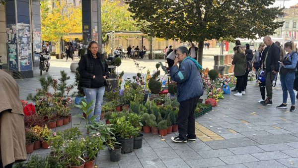 ЦВЕТНА ОАЗА НА ТРГУ