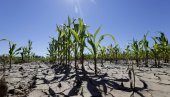 RESTRIKCIJE VODE I KRIZNI PLANOVI: Alarmantna situacija u nekim evropskim državama zbog suše