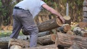 SKUPO GREJANJE BEZ DRVOSEČA: Globalna ekonomska kriza - loše opravdanje za poskupljenje zbog nedostatka radne snage