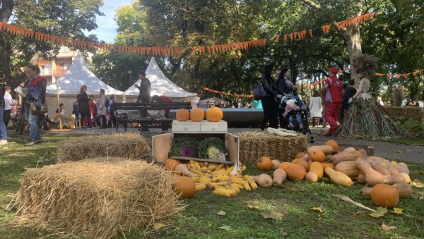 БУНДЕВА ПУЦА ОД ЗДРАВЉА: Парк у Кули претворен у велико сеоско двориште