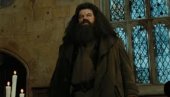 TUŽNA SUDBINA ČUVENOG GLUMCA: Pamtićemo ga kao Hagrida, živeo je u štali, prikovan za invalidska kolica i potpuno izolovan