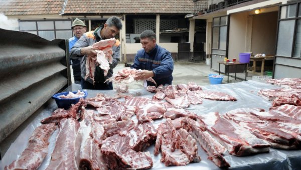 УВОЗ ЗАТВОРИО ОБОРЕ: Традиционални свињокољ дочекујемо са драстично мањим бројем стоке