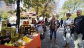 “MEDNI DAN“ U PARAĆINU: U centru grada održan mini-sajam proizvođača meda (FOTO)