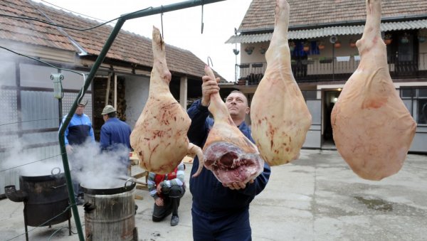 ТРАДИЦИЈА ГУРМАНЛУКА: Домаћини у Шиду спремни за други Срем клоб-коб фест, увод у овогодишњу сезону свињокоља