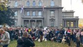 GLADOVANJE ZBOG PASA LUTALICA: Aranđelovčanin štrajkuje u Beogradu, uz poruku -  Sprečite i kaznite organizovano ubijanje nedužnih životinja