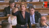 NIČIM IZAZVANA: Dragana Rakić (DS) vikala u Skupšini Srbije (VIDEO)