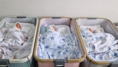 ДВА БРАТА: У породилишту у Новом Саду за дан рођене 33 бебе