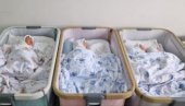 DVA BRATA: U porodilištu u Novom Sadu za dan rođene 33 bebe
