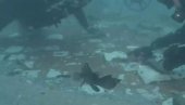 36 GODINA NAKON KATASTROFE: Olupina šatla „Čelendžer“ pronađena na dnu Atlantika (VIDEO)