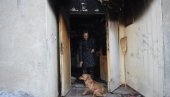 PAS JOŠ ČUVA ZGARIŠTE JEVIĆA: Nesreća majke i sina iz Kikinde, vatra im usred noći uništila kuću koja više nije za stanovanje