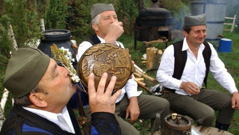 Са којим народом Срби деле највише генетског материјала