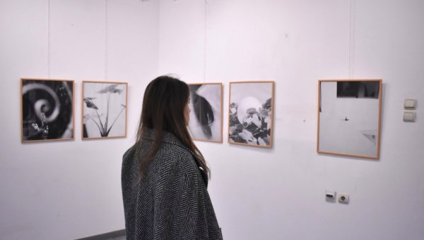 У ПЕТРОВЦУ НА МЛАВИ: Изложба „Око које недостаје“ у галерији „Круг“