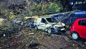 KOŠAVA OBARALA BANDERE: Vetar koji je duvao čitava 24 sata zadao glavobolje žiteljima prestonice