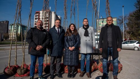 Millennium Team: Opredeljenost za odgovorno i održivo poslovanje Novi platani za Grad Vranje