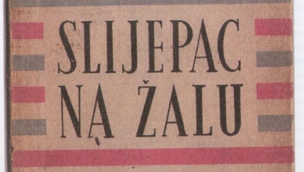 ПЛЕМЕНИТИ СТИХОВИ ДЕСНИЦЕ: Владан Бајчета о неправедно скрајнутом песничком делу великог писца