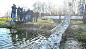 REKORDNO PORIBLJAVANJE: U kanal DTD u Srbobranu pušteno 1.400 kilograma šaranske mlađi