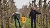 VOĆARIMA RODILI I PODSTICAJI: Opština u Lapovu ove godine nije štedela na subvencijama za poljoprivrednike