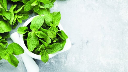 ЧИСТА ЗАРАДА И ДО 5.000 ЕВРА ПО ХЕКТАРУ: Ова биљка доноси одличну зараду у Србији