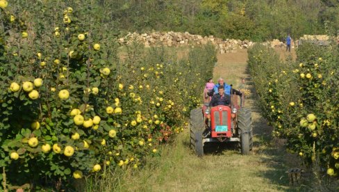 NARADENE GODINE: Poppis poljoprivrednih gazdinstva u Crnoj Gori