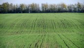 ZA AGRAR 55 MILIONA: Subotica usvojila niz mera pomoći poljoprivrednicima