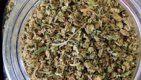 UHAPŠENO DVOJE ZAJEČARACA: Policija zaplenila 1,9 kilograma marihuane
