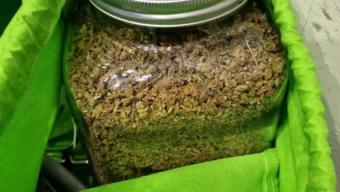 AKCIJA POLICIJE: Ovo je sedmorka koja je uhapšena dok su brali marihuanu, nađeno 150 kg droge