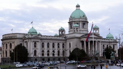 KIPAR PODRŠKA SRBIJI U SAVETU EVROPE:  Ambasador Fotije u Skupštini Srbije