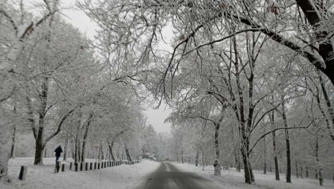 СЛИКА ДАНА: Снежна чаролија на Кошутњаку  (ФОТО)