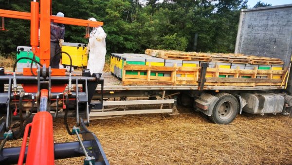 МЕД СЛАЂИ УЗ ПОДСТИЦАЈЕ: Земљорадничка задруга Свиламед, једина пчеларска у Поморавском округу, понос Свилајнца