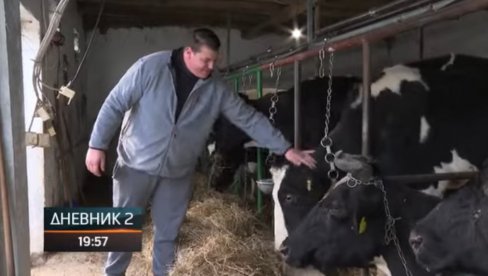 SVAKA KRAVA IMA IME, SLUŠAJU MUZIKU I REZULTATI SU SJAJNI: Stefan sa 18 godina počeo proizvodnju mleka - Novac ne sme biti prioritet (VIDEO)