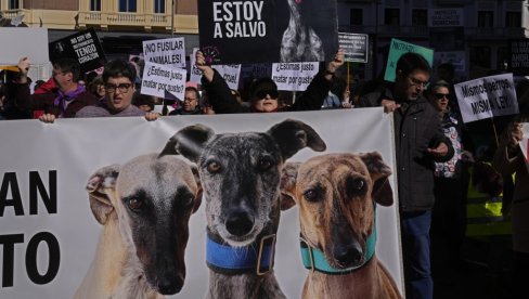 UBIJANJE NIJE SPORT: Hiljade Španaca se pobunilo protiv iskorišćavanja životinja