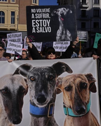 UBIJANJE NIJE SPORT: Hiljade Španaca se pobunilo protiv iskorišćavanja životinja