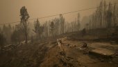 VATRA PROGUTALA 800 KUĆA: U Čileu privedeno 10 ljudi zbog podmetanja požara