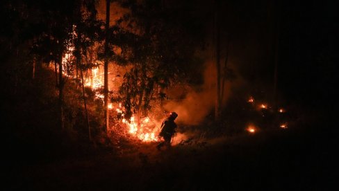 POMOĆ STIŽE SA SVIH STRANA: Požar u Čileu i dalje bukti