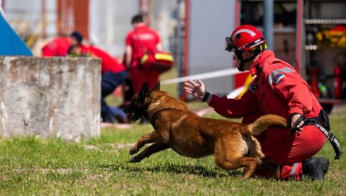 VATROGASAC ZIGI U AKCIJI: Pas iz Srbije spasava ljude u Turskoj (FOTO)