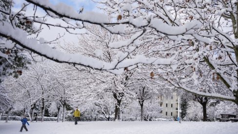 КАО ДА НАМ ЗИМА КУЦА НА ВРАТА Метеоролог Ристић најавио падавине: У овим деловима се очекује и први снег