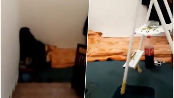 ИЗДАО СВОЈ СТАН, ПА СЕ УСЕЛИО НА СТЕПЕНИШТЕ: Муке са комшијом у згради на Петловом брду