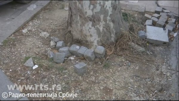 НЕСТРУЧНОСТ ИЗВОЂАЧА ПЛАЋА ГРАД: Коцке попуцале дуж саобраћајнице од Рузвелтове до ЗОО врта