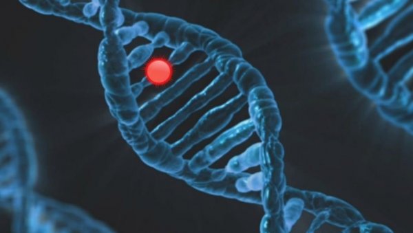 КО ЈЕ НАРОД НАЈСТАРИЈИ НА БАЛКАНУ: Најновија студија са Харварда показује да нема битних генетских разлика