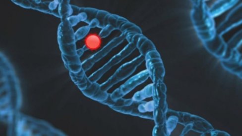 POVLAČE KONCE IZ SENKE: Veliko otkriće u borbi protiv raka - pronađeni tajni agenti u genima koji pomažu tumorima