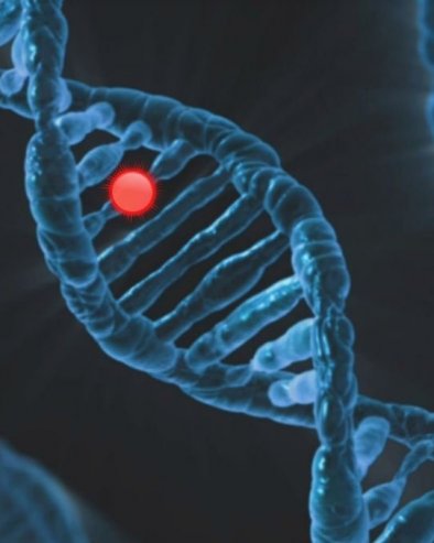 НАЈНОВИЈЕ ИСТРАЖИВАЊЕ: Праћењем близанаца утврђено да генетика одређује до 55 одсто животног века